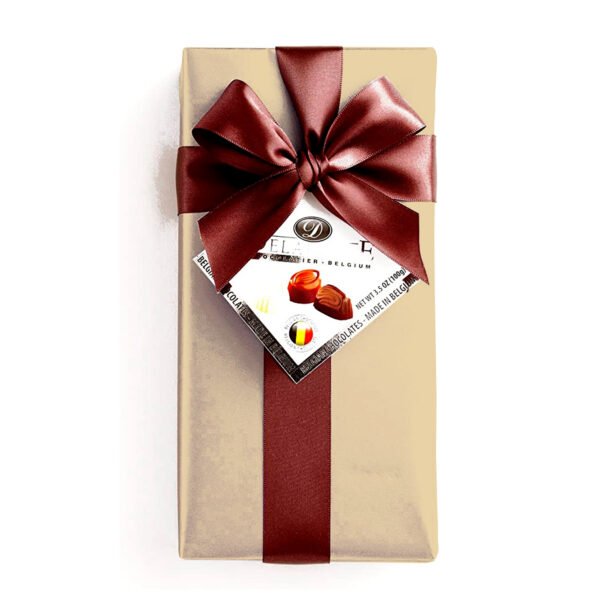 CHOCOLATE DELAFAILLE SURTIDOS x 200GR